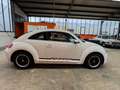 Volkswagen Beetle Lim. Design Leder Panorama Navi Xenon SHZ Weiß - thumbnail 4