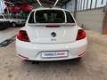 Volkswagen Beetle Lim. Design Leder Panorama Navi Xenon SHZ Weiß - thumbnail 6