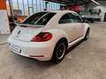 Volkswagen Beetle Lim. Design Leder Panorama Navi Xenon SHZ Weiß - thumbnail 5