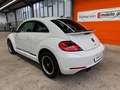 Volkswagen Beetle Lim. Design Leder Panorama Navi Xenon SHZ Weiß - thumbnail 7