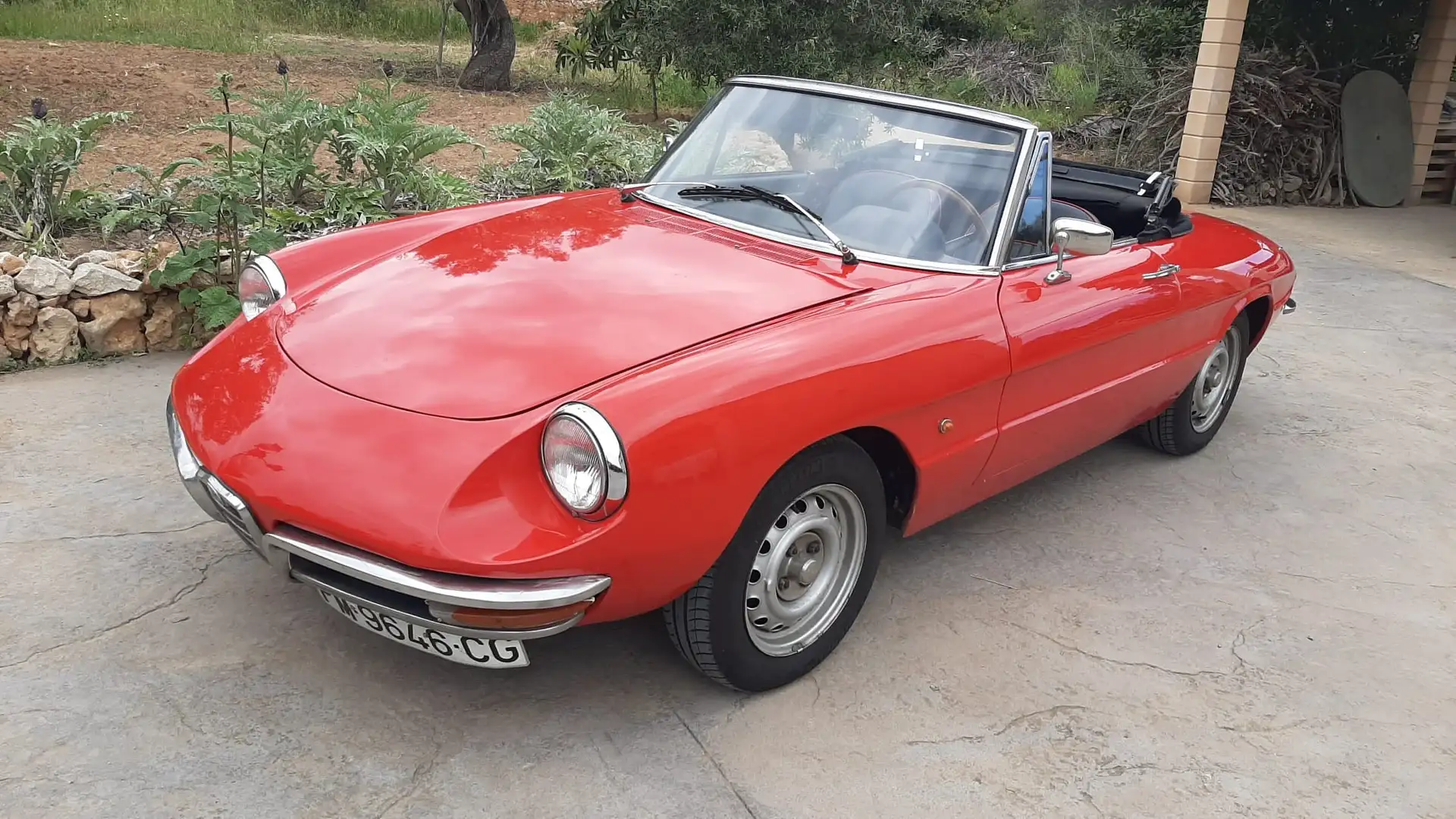 Alfa Romeo Spider - 1