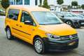 Volkswagen Caddy Trendline 2.0 TDI 4Motion Xenon Standheiz Amarillo - thumbnail 6