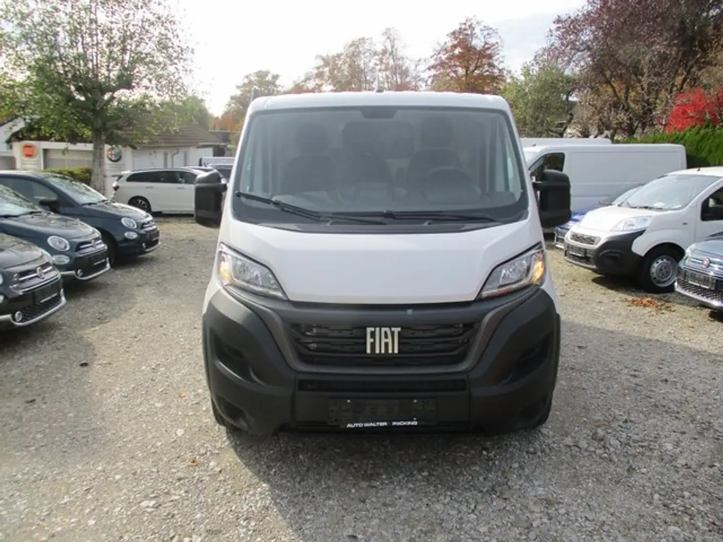 Fiat Ducato Kasten 30 140 L1H1 RS: 3000 mm Weiß - 2
