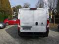 Fiat Ducato Kasten 30 140 L1H1 RS: 3000 mm Blanc - thumbnail 5