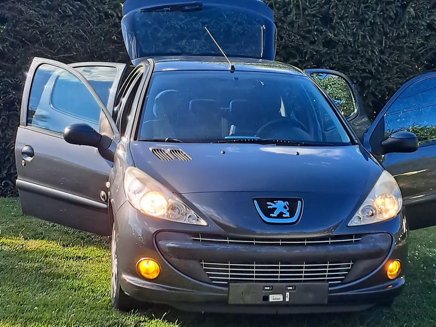 Peugeot 206 206+ 1.4 HDi Generation FAP Gri - 1