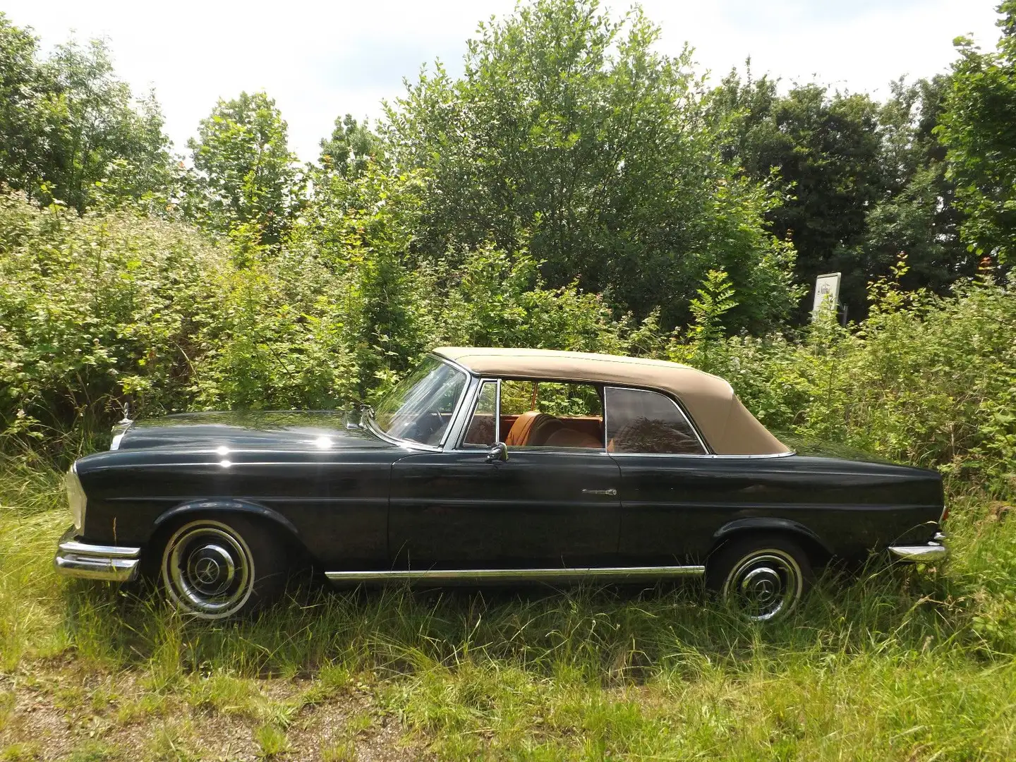 Mercedes-Benz 250 SE Cabrio und? - Familienzuwachs gefällig? Verde - 2