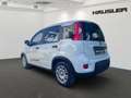 Fiat Panda 1.0 GSE Hybrid PDC*Klima*Tempomat*Bluetooth*ZV*Iso Noir - thumbnail 5