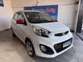 Kia Picanto 1.0 12V EcoGPL 5 porte Glam Bianco - thumbnail 5