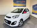 Kia Picanto 1.0 12V EcoGPL 5 porte Glam Bianco - thumbnail 1