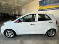 Kia Picanto 1.0 12V EcoGPL 5 porte Glam Bianco - thumbnail 8