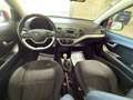 Kia Picanto 1.0 12V EcoGPL 5 porte Glam Bianco - thumbnail 10