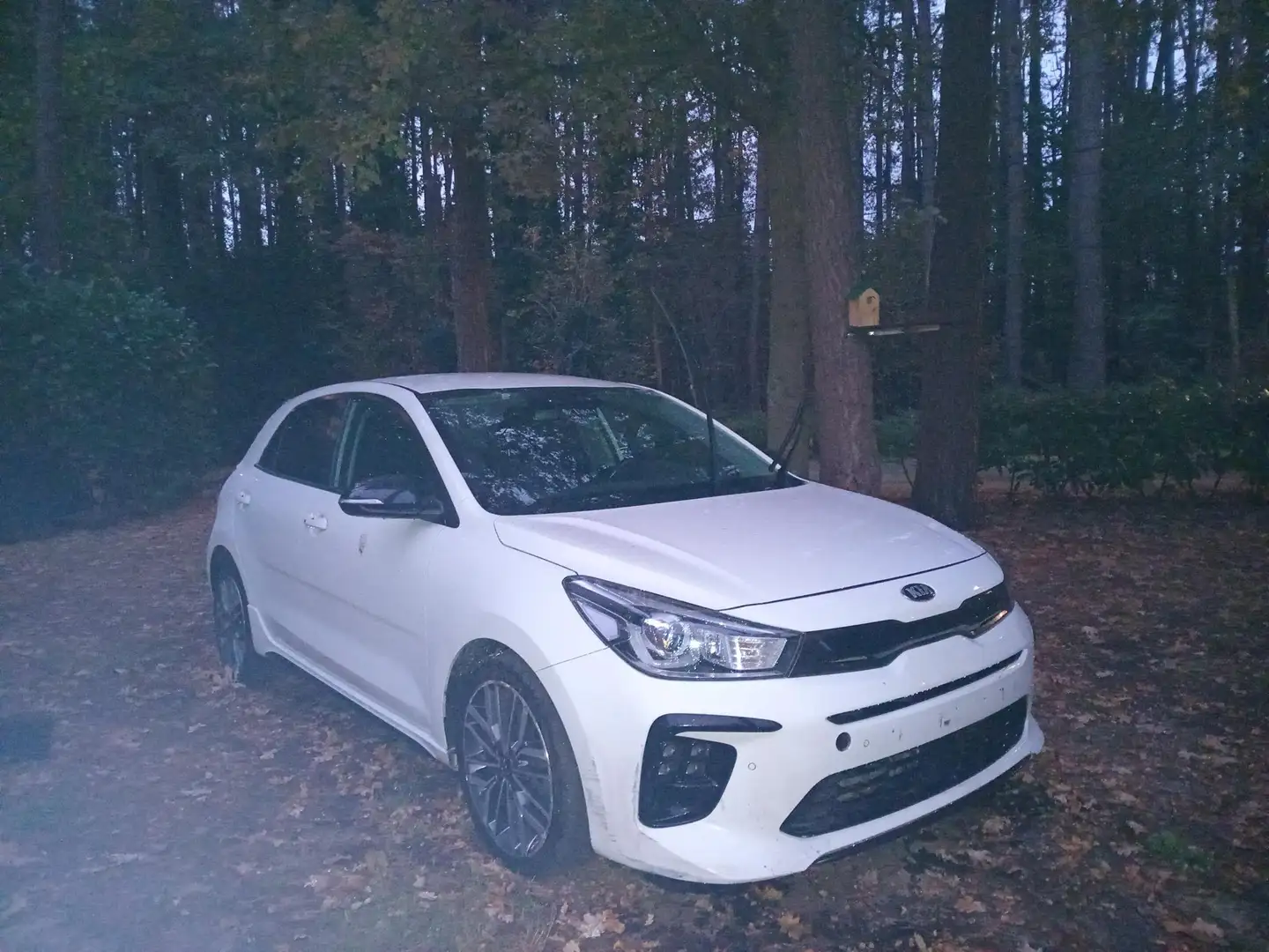 Kia Rio Rio 1.0 T-GDI 120 DCT7 GT Line Wit - 1