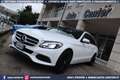 Mercedes-Benz C 250 250 d SW 4MATIC Aut Executive TETTO GANCIO Bianco - thumbnail 8