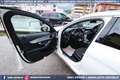 Mercedes-Benz C 250 250 d SW 4MATIC Aut Executive TETTO GANCIO Weiß - thumbnail 37