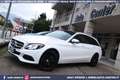 Mercedes-Benz C 250 250 d SW 4MATIC Aut Executive TETTO GANCIO Weiß - thumbnail 16