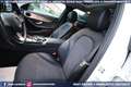 Mercedes-Benz C 250 250 d SW 4MATIC Aut Executive TETTO GANCIO Weiß - thumbnail 40