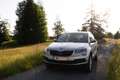 Skoda Karoq 1.0 TSI Style - thumbnail 1