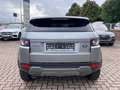 Land Rover Range Rover Evoque 2.2 Pure Teilleder/Allwetter Grau - thumbnail 6