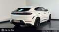 Lamborghini Urus SE 4.0 V8 ON STOCK PANORAMA-B&O-MASSAGE-23" Alb - thumbnail 5