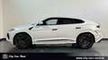 Lamborghini Urus SE 4.0 V8 ON STOCK PANORAMA-B&O-MASSAGE-23" Alb - thumbnail 2