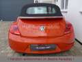 Volkswagen Beetle 1.2TSI Design Navi SHZ Klimaaut PDC Orange - thumbnail 6