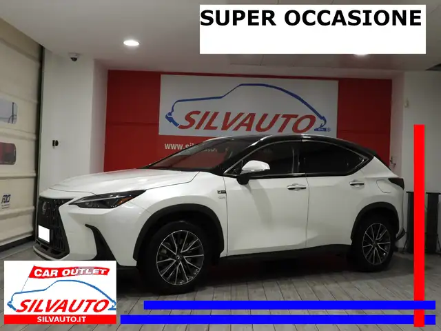 Lexus NX 450h+ 2.5 PHEV PREMIUM 4WD 309CV E-CVT (2023) - TAGLIAND