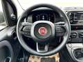 Fiat Panda Panda 1.0 firefly hybrid City Life s Blu/Azzurro - thumbnail 10