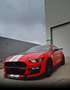 Ford Mustang Shelby V8 5.2 GT500 Rojo - thumbnail 3