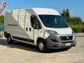 Fiat Ducato L3 H2 PASSO LUNGO TETTO ALTO Blanco - thumbnail 1