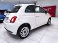 Fiat 500 1.0 Hybrid*PRONTA CONSEGNA*CERCHI IN LEGA* White - thumbnail 3