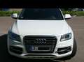 Audi SQ5 3.0 TDI quattro tiptronic Weiß - thumbnail 5