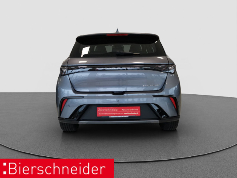 BYD Dolphin Dolphin Design LED PANO LEDER 360° — photo 5