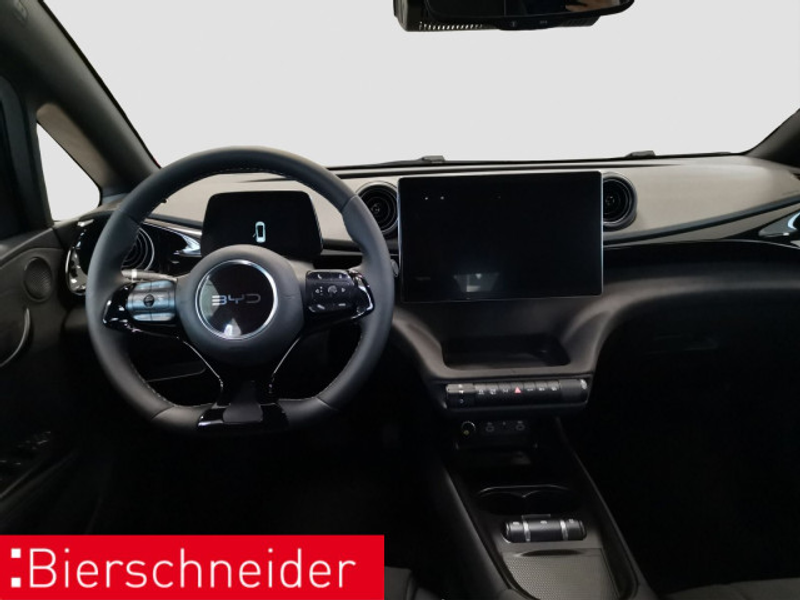 BYD Dolphin Dolphin Design LED PANO LEDER 360° — photo 12
