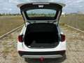 BMW X1 18 d sDrive /BEHINDERTENGERECHT/KAMERA Wit - thumbnail 7