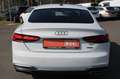 Audi A5 Sportback 40 TDI quattro S line/PANO/LED/1 HA Weiß - thumbnail 6