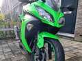 Kawasaki Ninja 300 Zielony - thumbnail 6