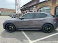 Alfa Romeo Stelvio 2.2 T.diesel 190CV AT8 RWD Exec. *PROMO* Gris - thumbnail 8