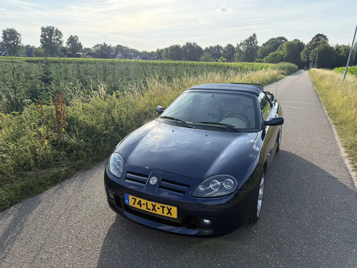 MG TF 1.8 135 Albastru - 2
