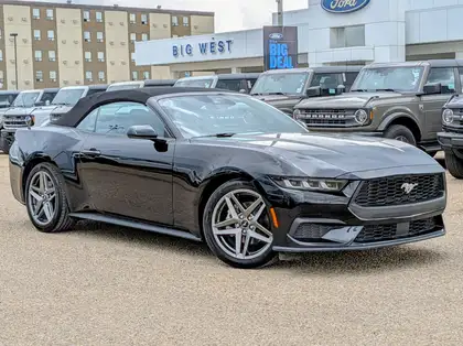 2024 Ford Mustang EcoBoost Convertible RWD