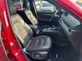 Mazda CX-5 CX-5 2.2 Signature awd 184cv auto my19 Rosso - thumbnail 11