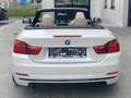 BMW 420 d Cabrio Aut. Luxury & Sport Wit - thumbnail 5