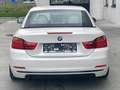 BMW 420 d Cabrio Aut. Luxury & Sport Wit - thumbnail 12