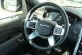 Land Rover Discovery D250 Dynamic SE AWD Auto. 25MY Bruin - thumbnail 17