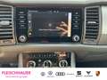 Skoda Kodiaq Clever 4x4 2.0 TSI DSG+LED+DAB+NAVI+SHZ Weiß - thumbnail 14