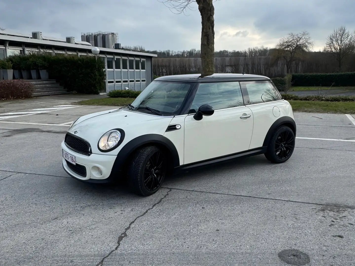 MINI Cooper D Mini Cooper D Bej - 2