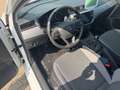 SEAT Ibiza Style 1.0 TSI 70kW *NAVI*SHZ*PDC*CARPLAY*ALU*UVM* Weiß - thumbnail 10