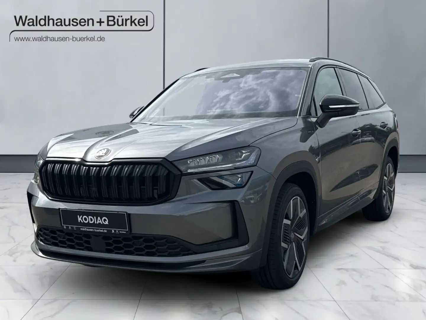 Skoda Kodiaq 2.0 TDI Sportline Klima Navi Rückfahrkamera Gris - 1