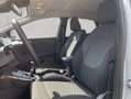 Ford Puma 1.0 EcoBoost Hybrid TITANIUM 92 kW, 5-türig Gris - thumbnail 16