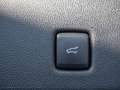 Ford Kuga VIGNALE NAVI AHK ACC HUD B&O LED PANO Schwarz - thumbnail 8