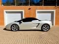 Lamborghini Gallardo Gallardo Spyder 5.0 V10 E-Gear Blanco - thumbnail 8